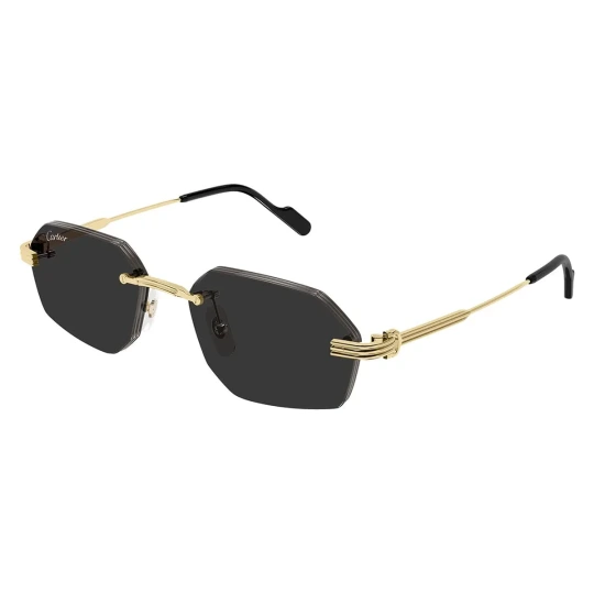 CT0916S Sunglasses