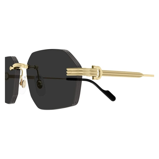 CT0916S Sunglasses