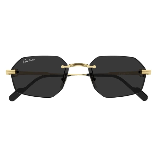 CT0916S Sunglasses