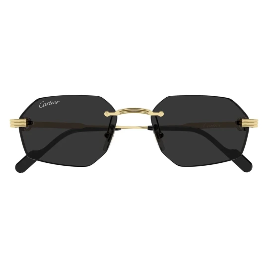 CT0916S Sunglasses