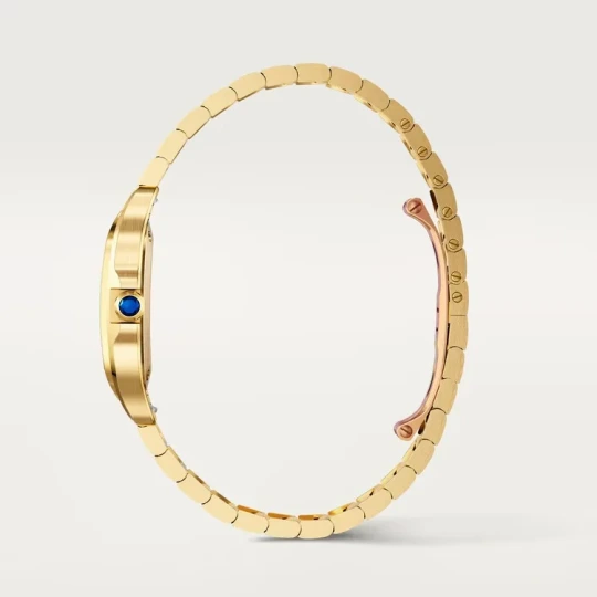 Santos de Cartier Watch