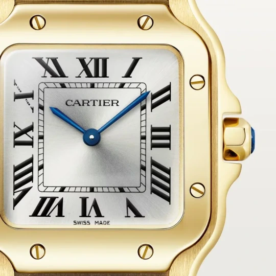 Santos de Cartier Watch