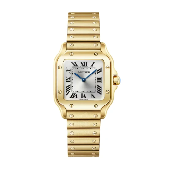 Santos de Cartier Watch