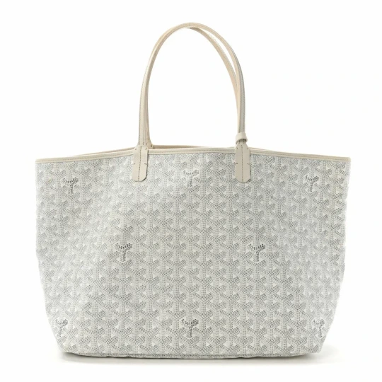 Goyardine Saint Louis PM White Bag