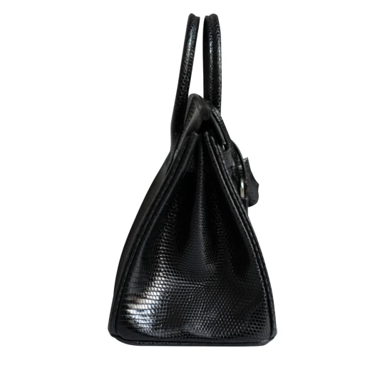 Birkin 25 Black Lizard Lisse Exotic Skin with Palladium Hardware