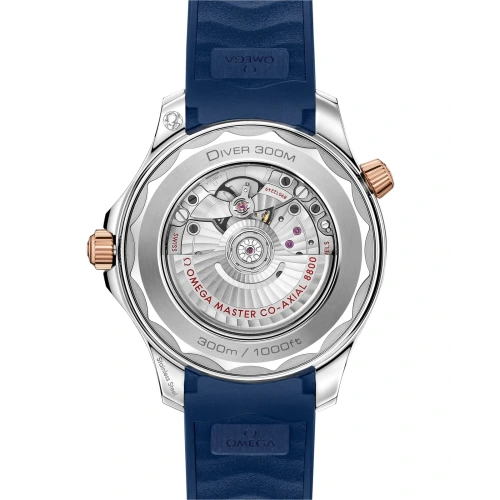 Seamaster Diver 300m watch
