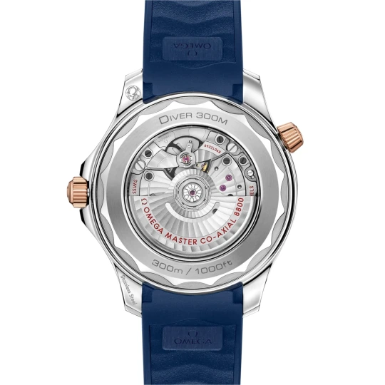 Seamaster Diver 300m watch